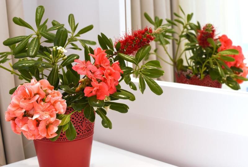 Palapart Gikas Suites And Studios Gouvia Dış mekan fotoğraf